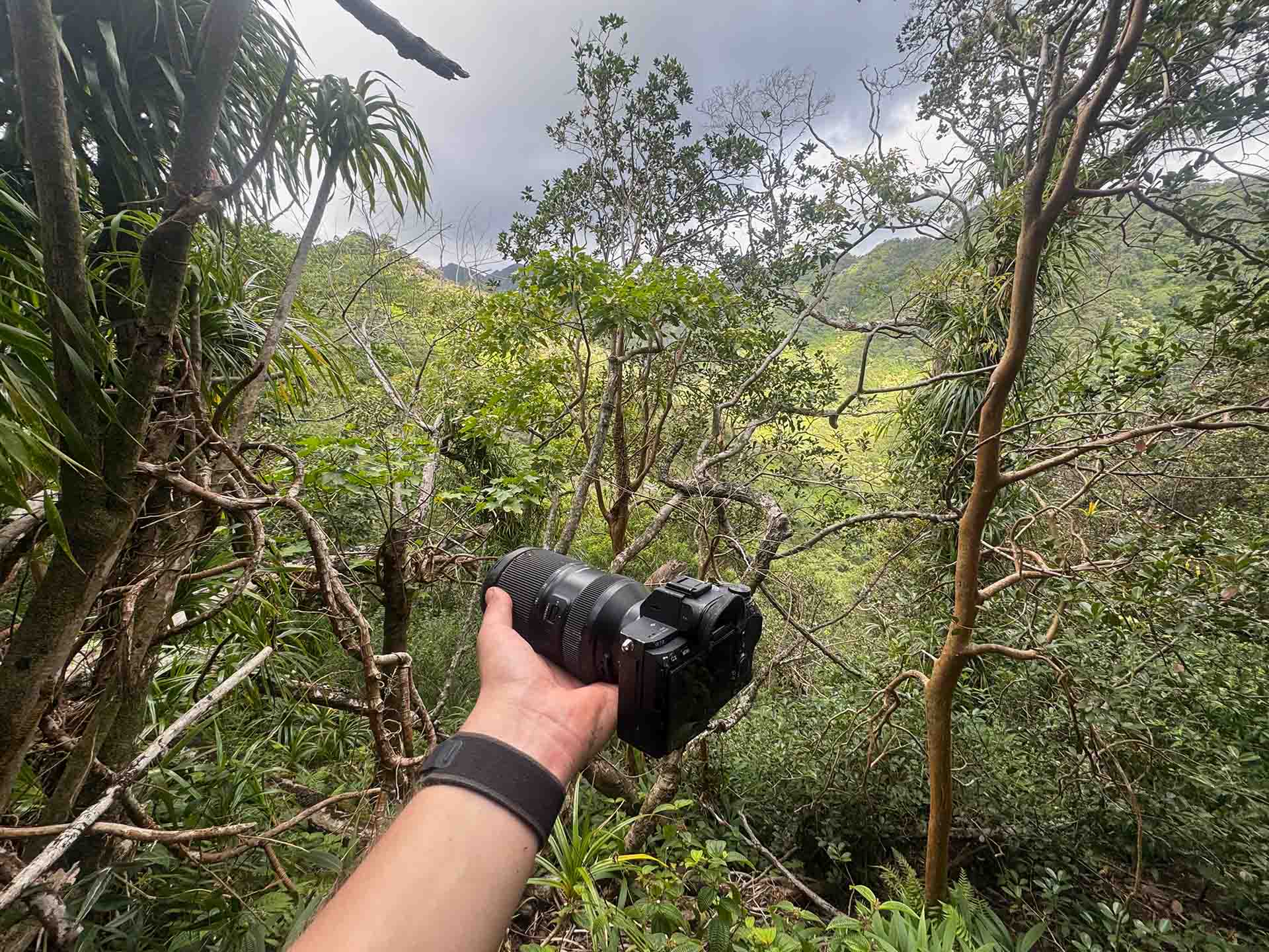 Meine Kamera wie durch ein Wunder wiedergefunden