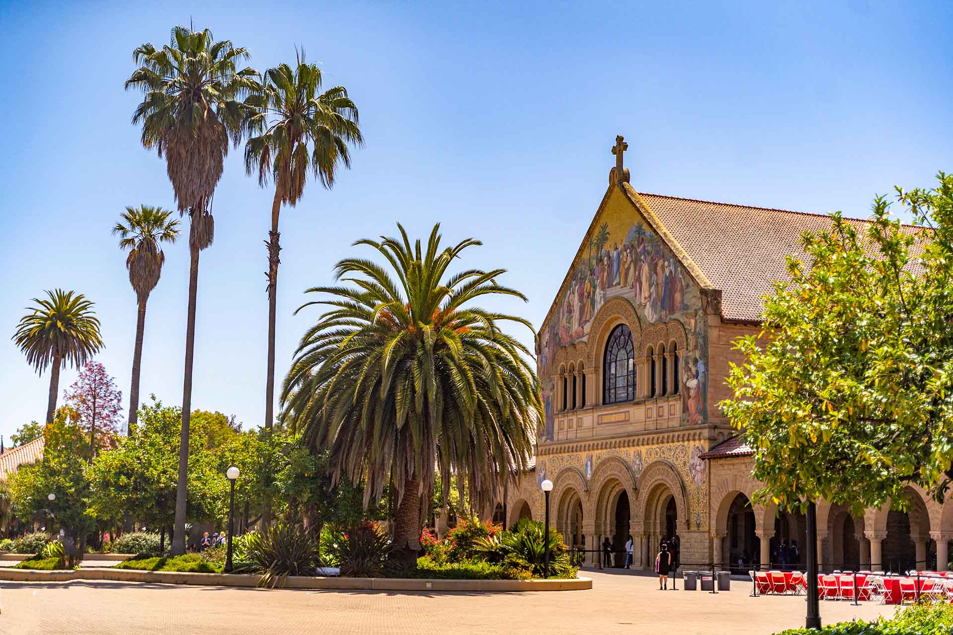 My Time in Stanford: Summer in the Bear State