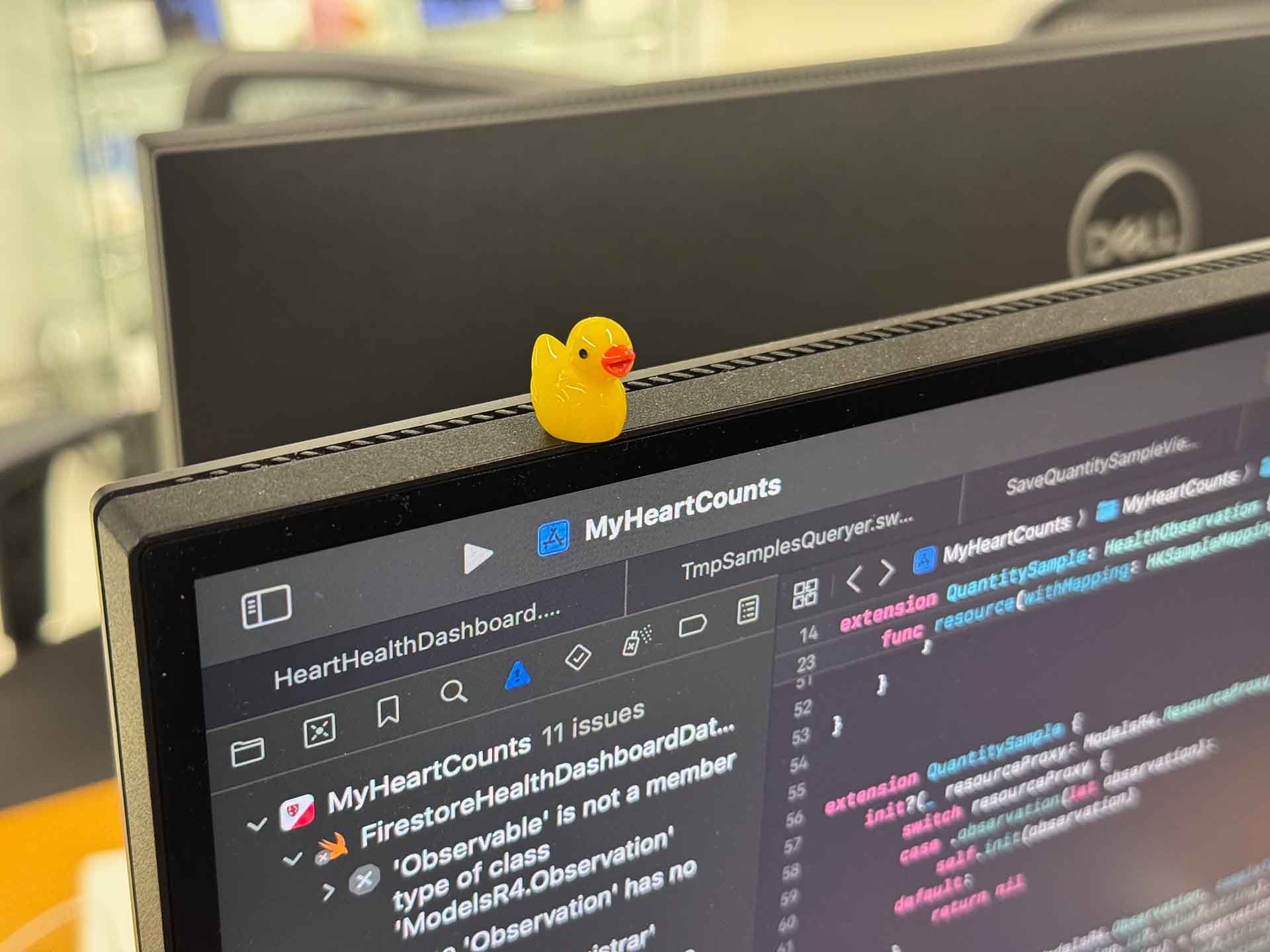 Eine Ente auf dem Monitor