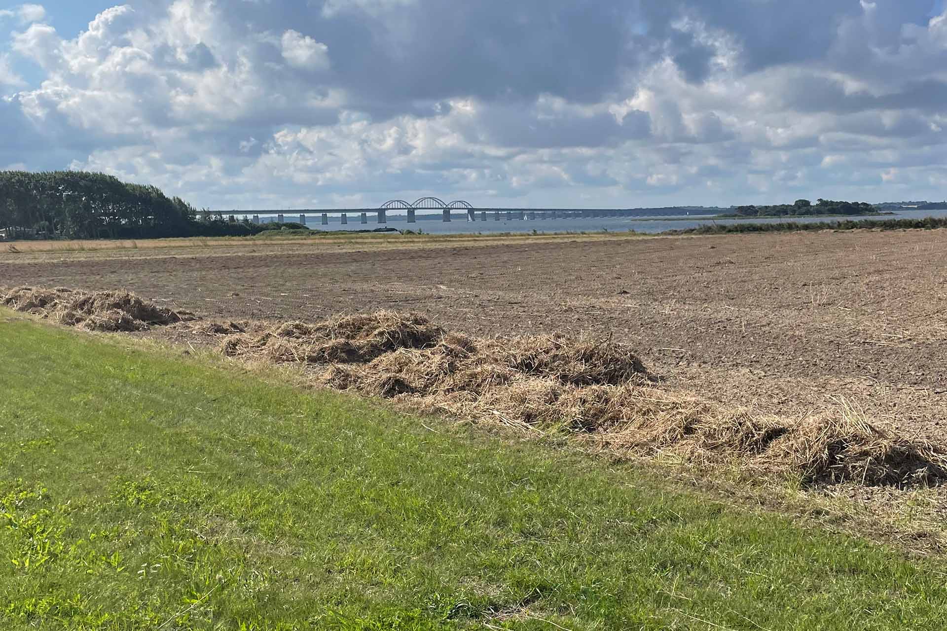 skandinavien21_brueckedaenemark