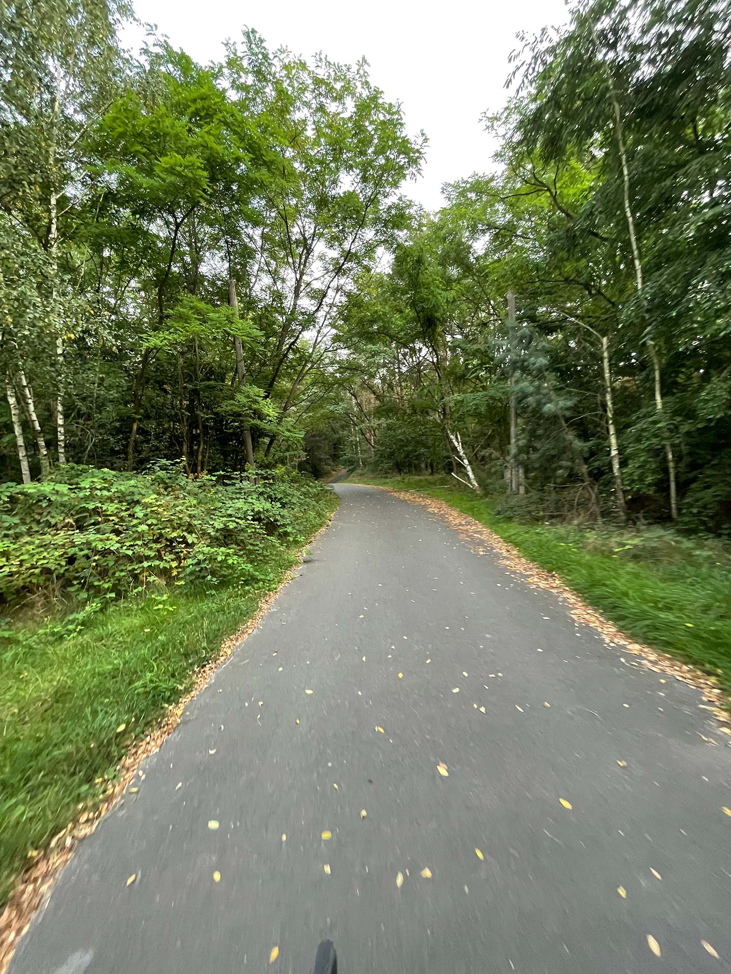 auf einen perfekten Radweg...