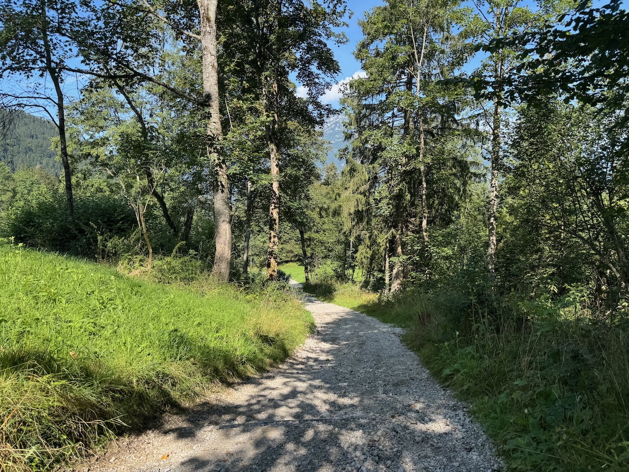 Durch den (immer dichter werdenen) Wald