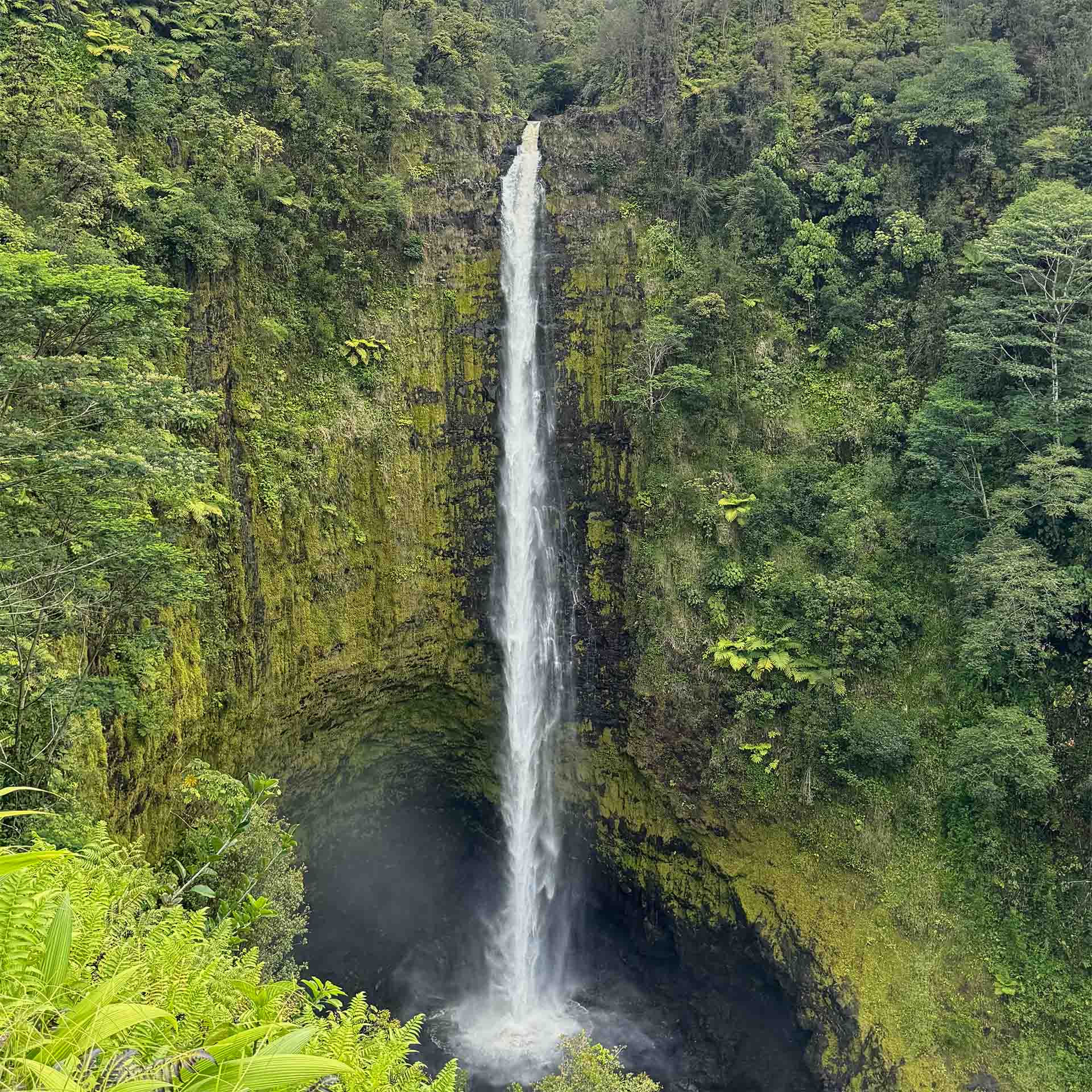 Wasserfall im Dschungel