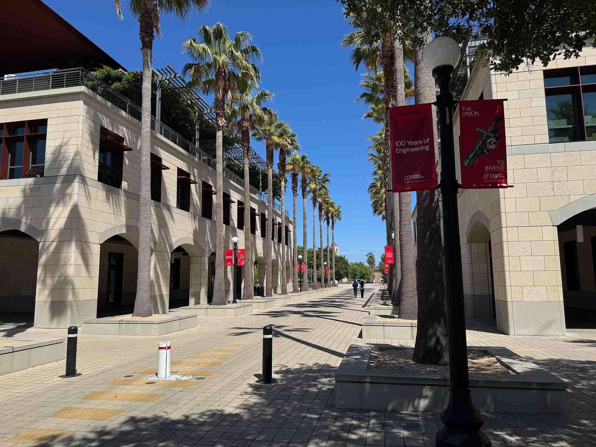 ...und noch mehr Palmen...