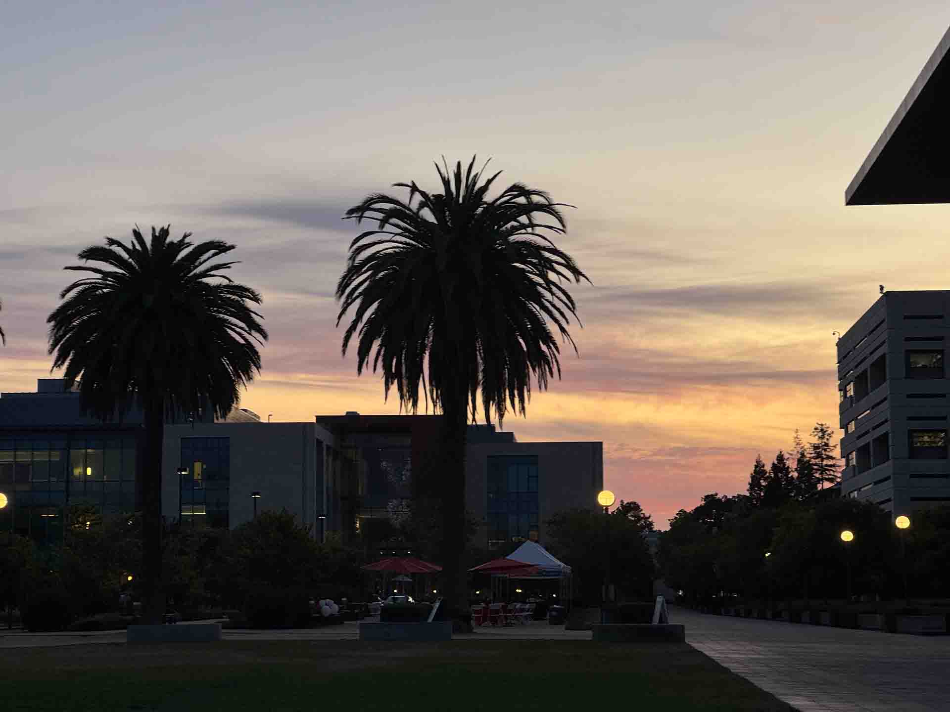Ein Sonnenuntergang auf dem Campus